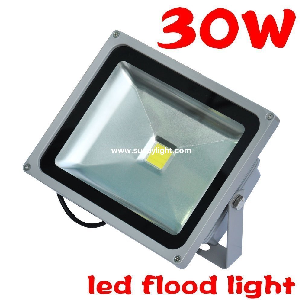 Susay 30W LED Spotlig